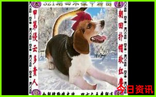60岁北京免费景点一览表